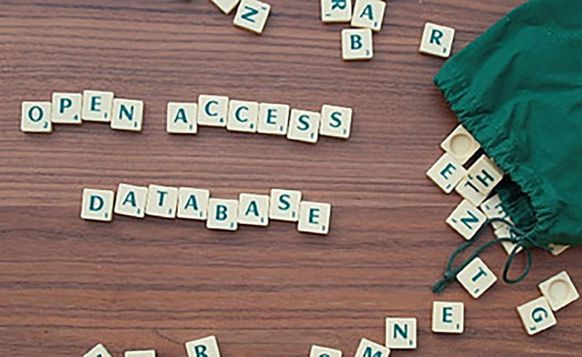 Adjective-Adverb Interfaces in Romance