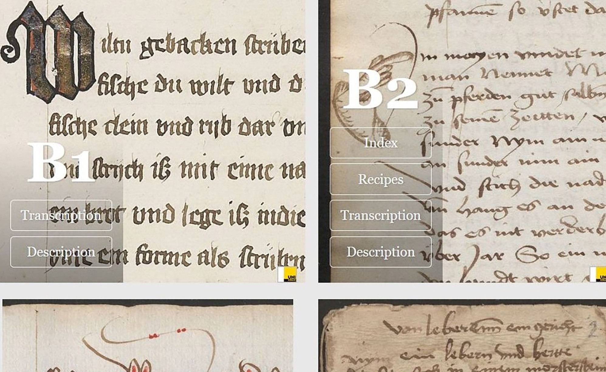 Cooking Recipes of the Middle Ages